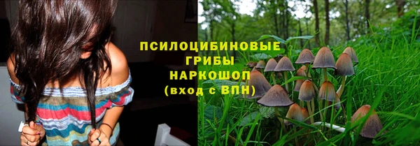 шишки Бронницы